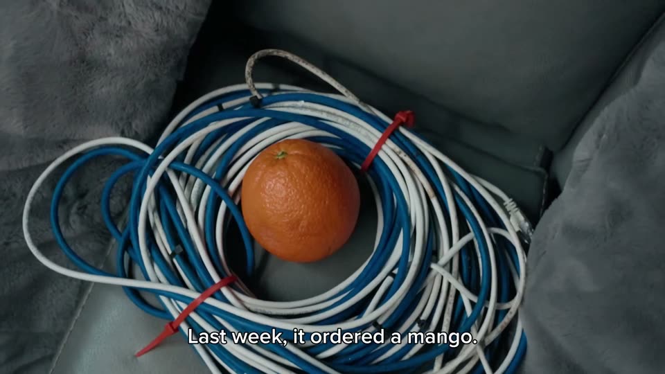 “I ate the mango.” It is an orange; other screens say “Please do not ask about the mango.”